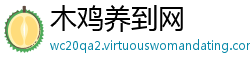 木鸡养到网